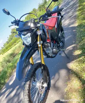 CRF Standart istimewa