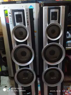 Speker POLYTRON