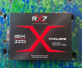 HARDISK SSD RX7 128GB