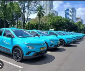 Di butuhkan driver armada vinfast