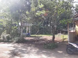 Tanah Murah luas 532m Panti Serut