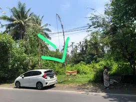 Tanah dijual atau disewakan