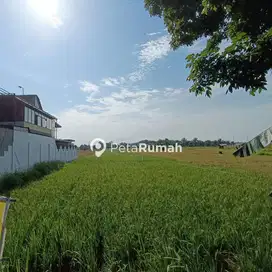 DIJUAL TANAH Jl YOS SUDARSO CENGKEH TURI  - DAERAH BINJAI (MAICHAEL)