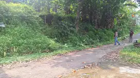 Dijual Sebidang Tanah Murah