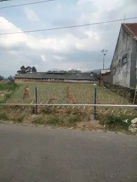 Ciwidey Dijual Tanah kosong Luas 1260m2
