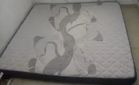 KASUR BUSA ROYAL FOAM