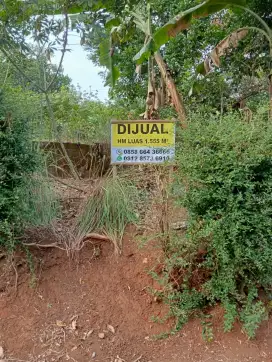 DIJUAL TANAH SHM LUAS 1.555 m, LOKASI JATISARI - MIJEN