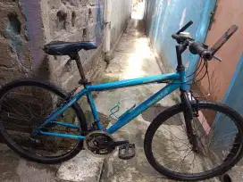 Mtb Wimcycle roadchamp 26
