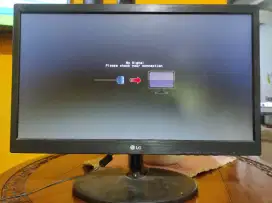 Monitor LG 19.5