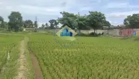 Dijual Tanah di Desa Babat - Tangerang, Banten