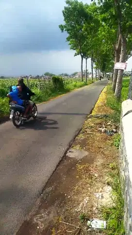 Tanah Poros Lowoksuruh Sekarpuro Pakis Malang