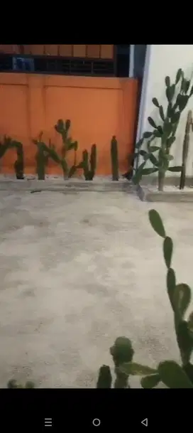House Rental Kedungu Belalang