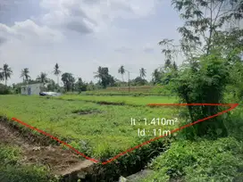 TANAH MURAH VIEW GUNUNG MERAPI DAN SAWAH DEKAT JL PALAGAN SLEMAN YOGYA