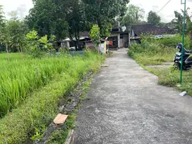 INVESTASI TANAH PEKARANGAN 1JT/M LT 353M2 DEKAT PASAR BARONGAN.JK13345
