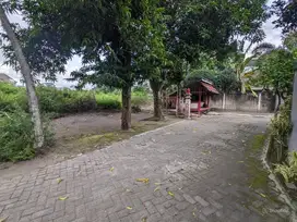 Cocok Untuk Kos Area Kampus UGM Tanah Premium Jogja Di Pogung Sinduadi