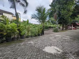 Ring 1 Kampus UGM Tanah Jogja Untuk Kos Eksklusif Dekat Condongcatur