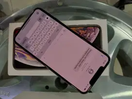 Iphone Xs Max 256gb gold IMEI teregister