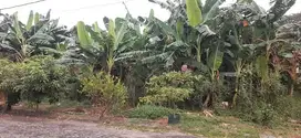 Tanah kavling perumahan murah Tulangan