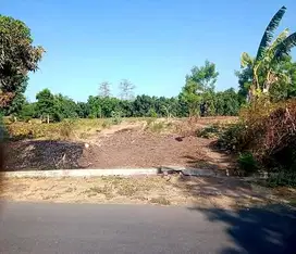 Tanah murah Wonorejo Pasuruan