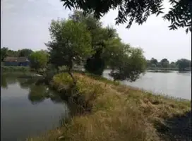 Dijual Tambak Udang Vaname Dan Bandeng Di Pasuruan
