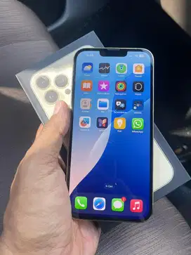iPhone 13 Pro Max 128Gb GOLD Eks.Ibox Murah