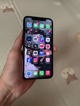 Iphone X 256Gb Mulus