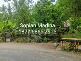 Tanah kavling murah banget AJB di jln raya Panyabungan Madina Sumut