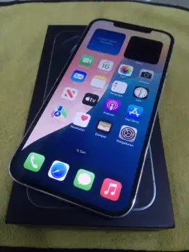 iPhone 12 Pro Max Silver 256GB iBox