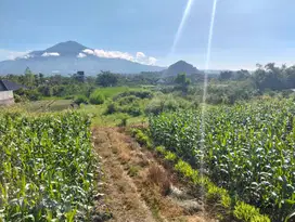 Tanah strategis View indah