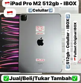 Ipad Pro M2 512 Gb Space Grey 11 inch ibox celuller