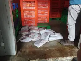 Jual Daging Sapi Murah Per 2 kg