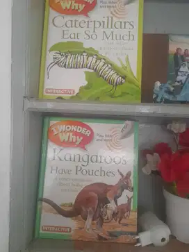 I wonder why english