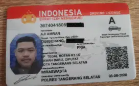 ingin menjadi driver pribadi