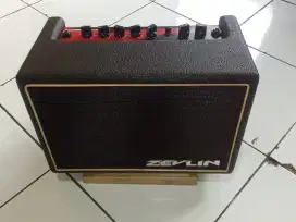 Zevlin amplifier 6inch
