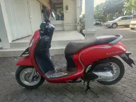 Scoopy stylish (2022)