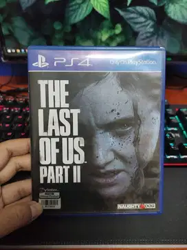 The Last Of Us Part 2 - BD Game Playstation 4