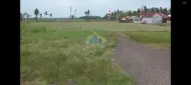 Jual Tanah di jl raya Kali baru Kramat - Pakuhaji, Tangerang Banten