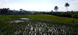 Tanah Luas Dijual ,Lokasi Strategis di Jl. Semarang Garut