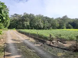 Dijual Tanah Luas Ter Cantik di Srikayangan Sentolo