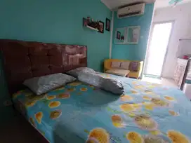 Sewa Studio Bulanan Tower Geranium Apartemen Bassura City