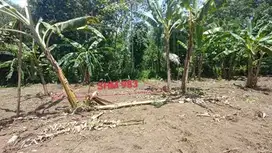 INVESTASI TANAH SHM MURAH, KEDUNGSARI, PURWOREJO