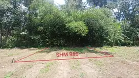 INVESTASI TANAH SHM MURAH, KEDUNGSARI, PURWOREJO