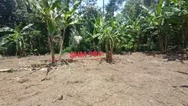 INVESTASI TANAH SHM MURAH, KEDUNGSARI, PURWOREJO