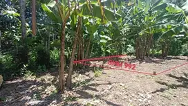 INVESTASI TANAH SHM MURAH, KEDUNGSARI, PURWOREJO