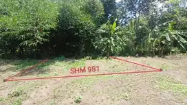 INVESTASI TANAH SHM MURAH, KEDUNGSARI, PURWOREJO