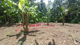 INVESTASI TANAH SHM MURAH, KEDUNGSARI, PURWOREJO