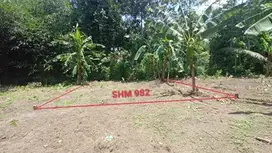 INVESTASI TANAH SHM MURAH, KEDUNGSARI, PURWOREJO