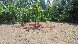 INVESTASI TANAH SHM MURAH, KEDUNGSARI, PURWOREJO