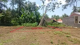 INVESTASI TANAH SHM MURAH, KEDUNGSARI, PURWOREJO