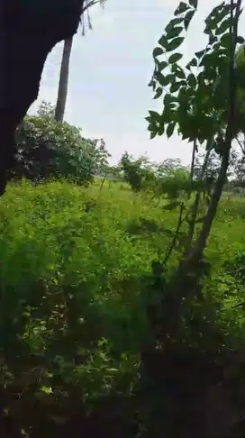 DIjual Tanah Darat Murah Lokasi di Kp. Bolang ds. Sukasari kec.Rajeg